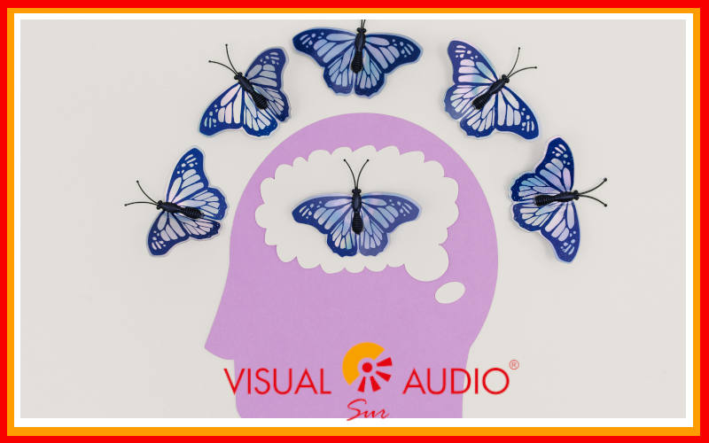 Visual Sur Audio se suma al Día Mundial del Cerebro para cuidar la salud auditiva